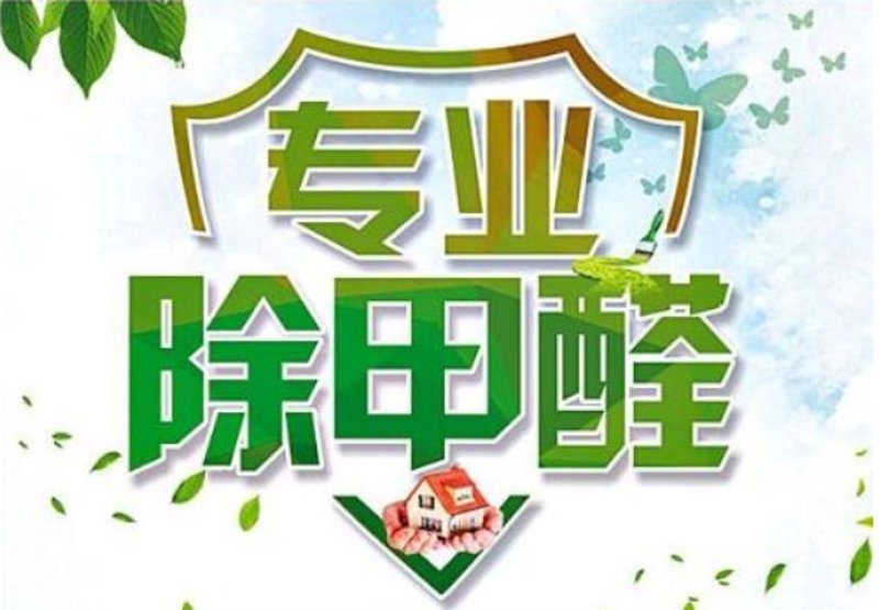 室内甲醛治理：如何为家人创造健康呼吸环境